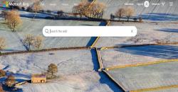 Berkat ChatGPT, Pengguna Aktif Harian Bing Lampaui 100 Juta 