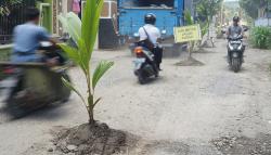 Jalan Rusak Sepanjang 1 Kilometer Ditanami Pohon