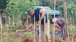 Kelompok Disabilitas di Cimahi Pantang Menyerah, Sukses Raup Cuan dari Bertani