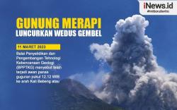 Infografis Gunung Merapi Luncurkan Wedus Gembel 