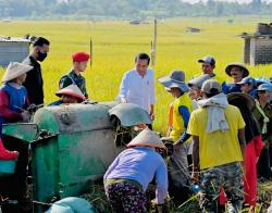 Jokowi Minta Harga Gabah dan Beras Tak Rugikan Petani