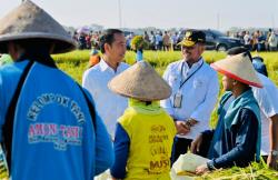 Panen Raya Ngawi, Presiden Jokowi Ajak Petani Lakukan Percepatan Tanam<