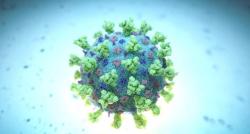 Ilmuwan Modifikasi Bakteri Diklaim Bisa Melawan Kanker