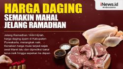 Infografis Harga Daging Ayam di Purwakarta Tembus Rp36.000 per Kg<