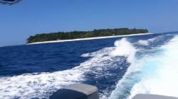 Pulau Pieh Sumbar, Habitat Lumba-Lumba hingga Paus