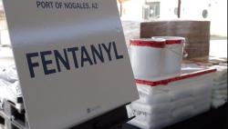 Wow, Tentara Temukan 1,8 Juta Butir Pil Fentanil dan 400 Kg Sabu di Rumah Persembunyian