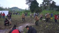 Perbaiki Ranca Upas Bandung, Perhutani Tanam 5.000 Bibit Pohon<