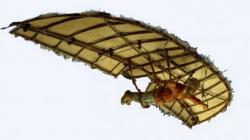 5 Penemuan Ilmuwan Islam yang Diklaim oleh Barat