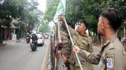 Satpol PP Cimahi Sapu Bersih Atribut Kampanye yang Kotori Jalan Protokol