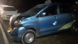 Sapi Lepas di Tol Cengkareng Tabrak Taksi hingga Penyok