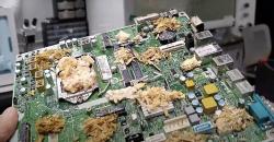 Ilmuwan Mengembangkan PC Hidup dari Jamur, Begini Penjelasannya