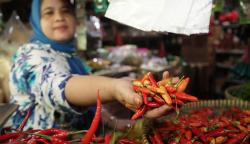 Harga Cabai Rawit Merah Tembus Rp 85.000 per Kilogram