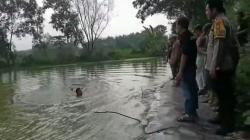 Bocah 9 Tahun Ditemukan Tewas di Embung Desa Sologabus Tuban, Orang Tua Histeris 