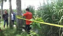 Bayi Baru Lahir Dibuang di Pinggir Jalan Tulungagung, Meninggal di Puskesmas 