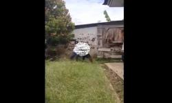 Viral Video Siswa SMP di Konawe Berkelahi di Belakang Sekolah<