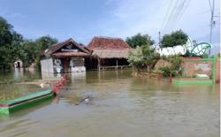 Banjir di Pati Sisakan 1 Desa yang Masih Terdampak, Ini Penampakannya<