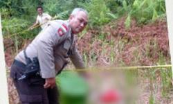 Kronologi Penemuan Mayat Bayi di Kapuas Hulu, Awalnya Digigit Anjing