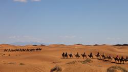 Sejarah Awal Penetapan Bulan Hijriah, Jasa Khalifah Umar bin Khattab