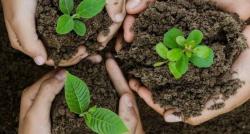 Lindungi Hutan lewat Perayaan Air Max Day 2023, Menanam 2 Bibit Pohon