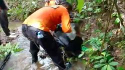 6 Hari Hilang di Hutan Pasaman, Kakek Hasan Ditemukan Meninggal