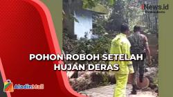  1 Orang Luka Tertimpa Pohon saat Tradisi Padusan di Magelang