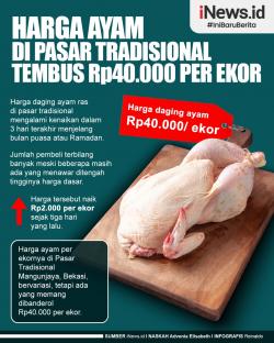 Infografis Harga Ayam di Pasar Tradisional Tembus Rp40.000 per Ekor
