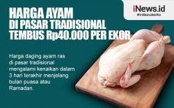 Infografis Harga Ayam di Pasar Tradisional Tembus Rp40.000 per Ekor