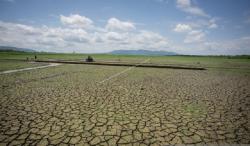 Pantura Jabar Diprediksi Paling Rawan Kekeringan, Produksi Pangan Bakal Terdampak <