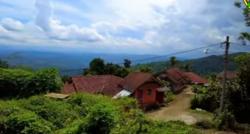 Desa Unik di Jawa Tengah, Singgah ke Desa Cilumping serasa Berada di Atas Awan, Begini Suasananya!