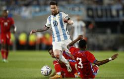 Pelatih Brasil Ini Ikut Girang Indonesia Bisa Lawan Argentina, Singgung Suporter Garuda