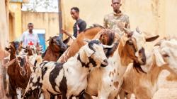 Berkah Bulan Ramadhan di Somalia, Ribuan Tahanan Dapat Berbagai Makanan Tambahan