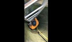 Dramatis, Petugas Damkar Evakuasi Anak Kucing Tercebur Sumur Sedalam 12 Meter