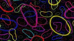 5 Teori Sains yang Dianggap Paling Rumit di Dunia, Sudah Tahu?