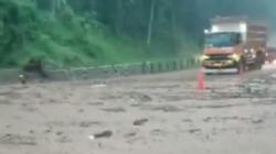 Longsor di Temanggung, Jalur Yogyakarta-Semarang Kembali Lumpuh