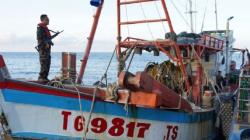 KKP Tangkap Kapal Berbendera Vietnam di Laut Natuna, Bawa Muatan Ikan<