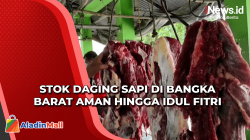 Jelang Idul Fitri, Stok Daging Sapi di Bangka Barat Aman
