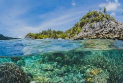 4 Laut Terdalam di Indonesia, Ada yang Mencapai 7,44 Km!