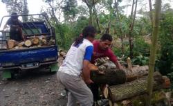  Kisah Inspiratif Sudri, Berawal Kuli Penebang Pohon Kini Sukses Jadi Juragan Kayu<