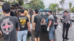 4 Orang Terkapar Tersambar Petir di Cirebon, 2 Tewas dan 2 Luka Berat<