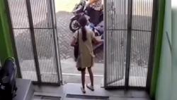 Viral, Pria Jember Pamer Kemaluan dan Onani di Depan Mahasiswi<