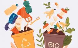 Contoh Limbah Organik, Pengertian dan Cara Memanfaatkannya Lengkap
