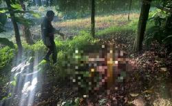 Sopir Taksi Online Tewas Dirampok di Tol Jagorawi, Pelaku Ditangkap karena Bercak Darah