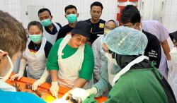  Hasil Forensik 9 Jenazah Korban Pembunuhan Dukun Pengganda Uang: 6 Pria 3 Perempuan <