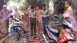 Satgas BKSDA Gerak Cepat Identifikasi Jenis Beruang yang Serang Warga Tabalong