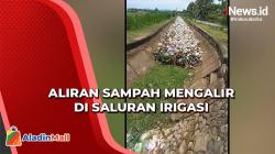 Detik-Detik Aliran Sampah Sepanjang 1 Km Lewati Saluran Irigasi di Polewali Mandar