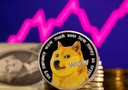 Kabosu, Anjing di Balik Ikon Dogecoin Mati akibat Leukemia dan Liver