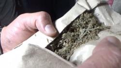 Ibu Hamil Edarkan Narkoba di Purwakarta, Ganja Dikirim via Ekspedisi dari Sumatera