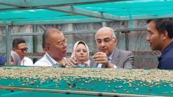 Petani di Subang Ekspor 25 Ton Kopi ke Mesir lewat Skema Imbal Dagang<