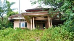 Menelusuri Rumah Suzanna di Semarang, Bangunan Terbengkalai Diselimuti Semak Belukar