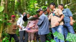 24 Satwa Liar Dilepaskan di Cagar Alam Wiay, Burung Jagal Papua  Hitam hingga Pitohui Utara<